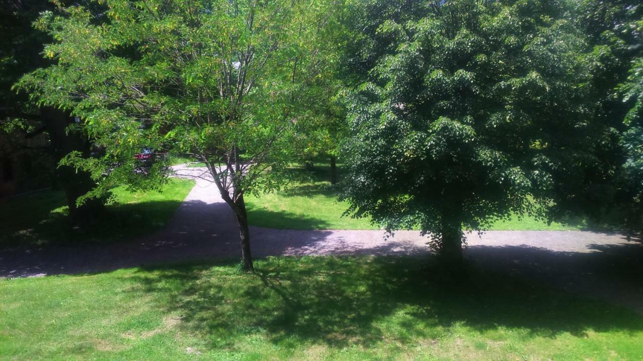 Appartement T2 Jardins De Ramel Bagnères-de-Luchon Eksteriør billede