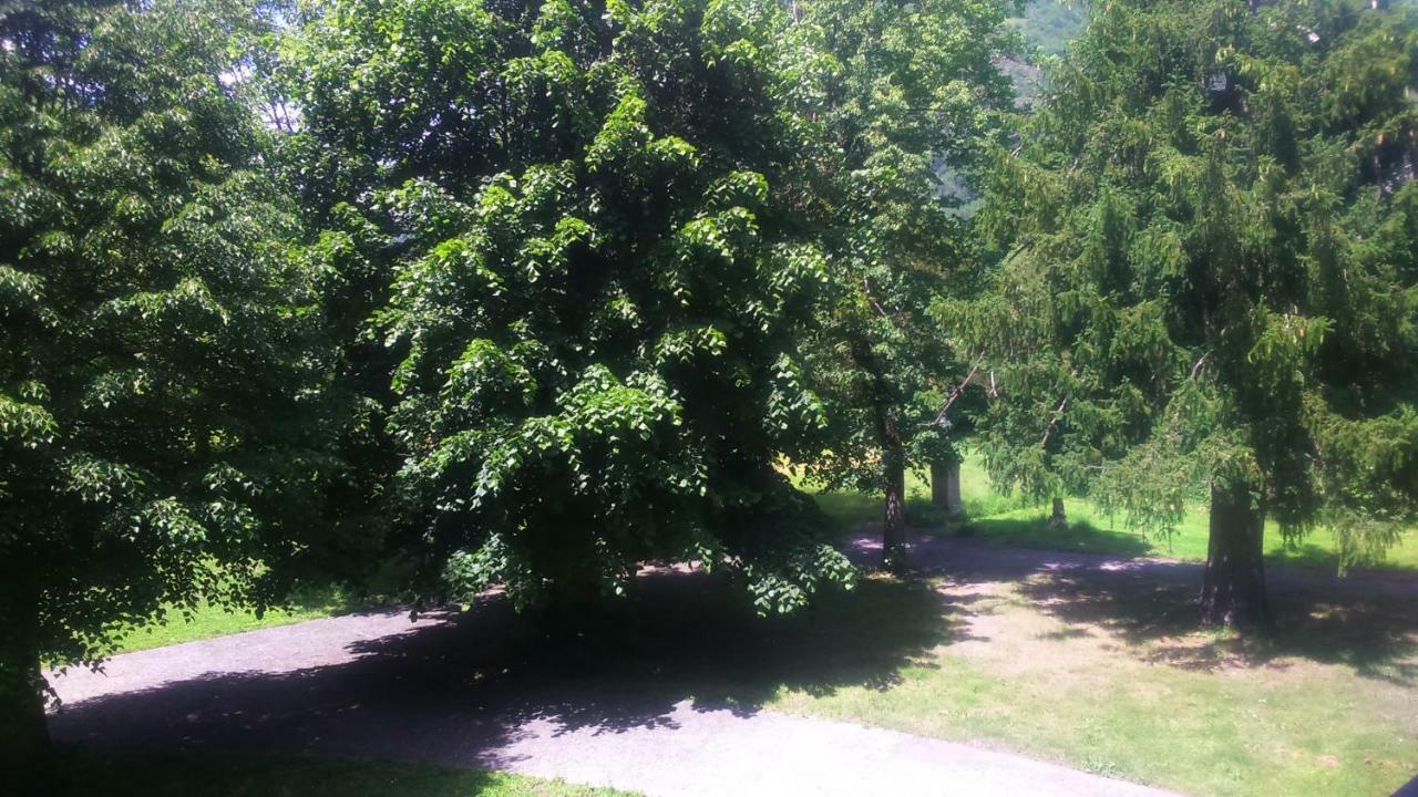Appartement T2 Jardins De Ramel Bagnères-de-Luchon Eksteriør billede